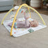 Fisher Price Simply Senses Newborn Gym